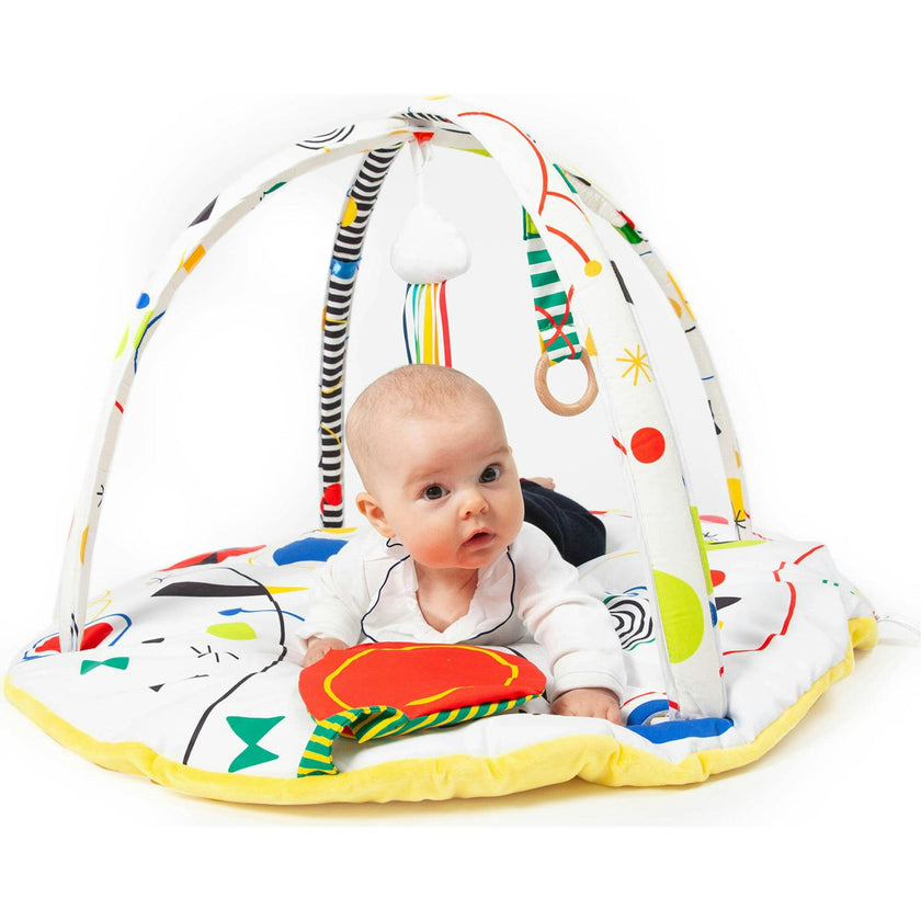 Baby Artist Play Gym