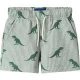 Infant Boys Short Sleeve Cabana Set | Green Stripe Dino