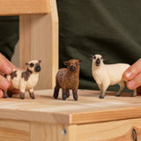 Schleich Farm World: Friends - 3pc Animal Figures