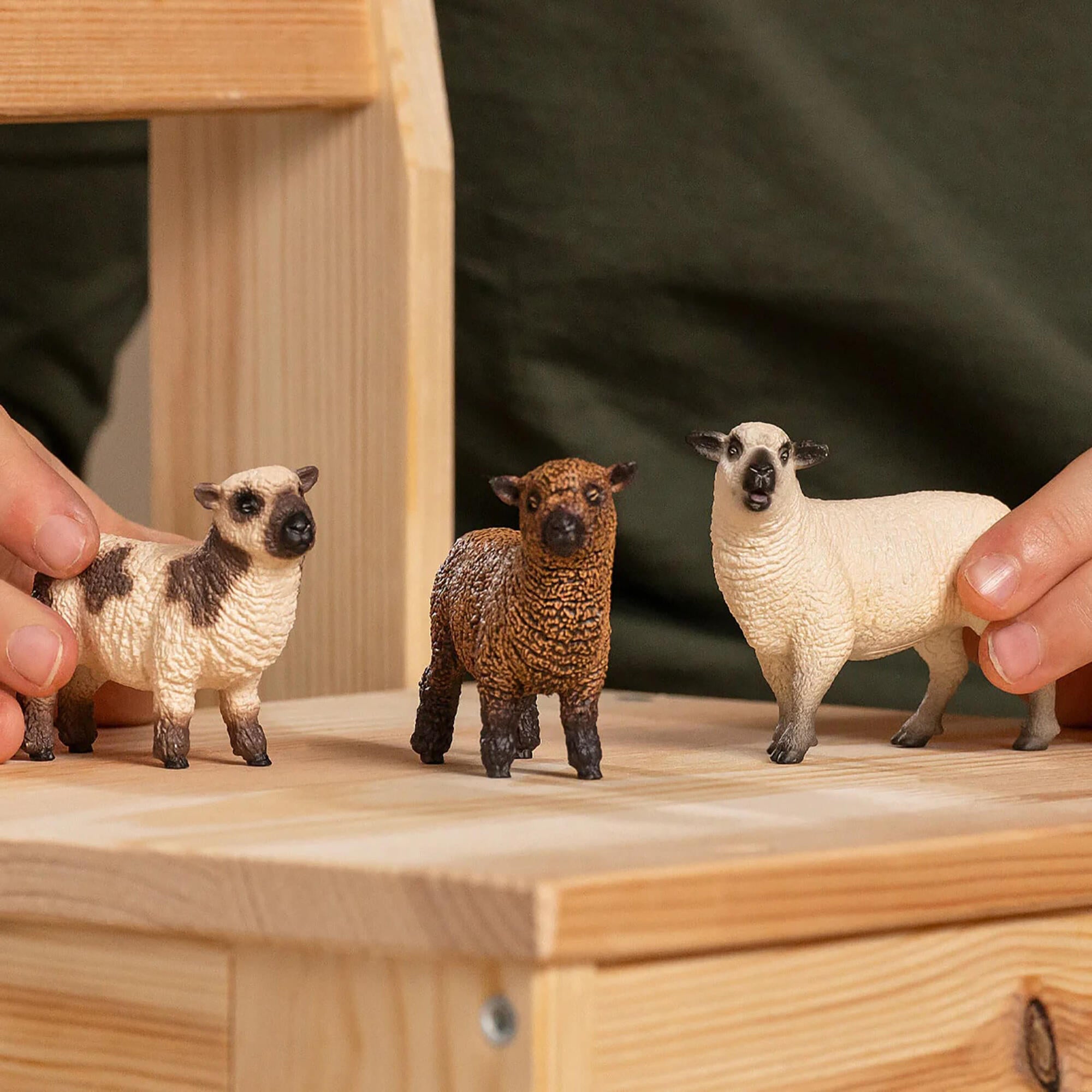 Schleich Farm World: Friends - 3pc Animal Figures