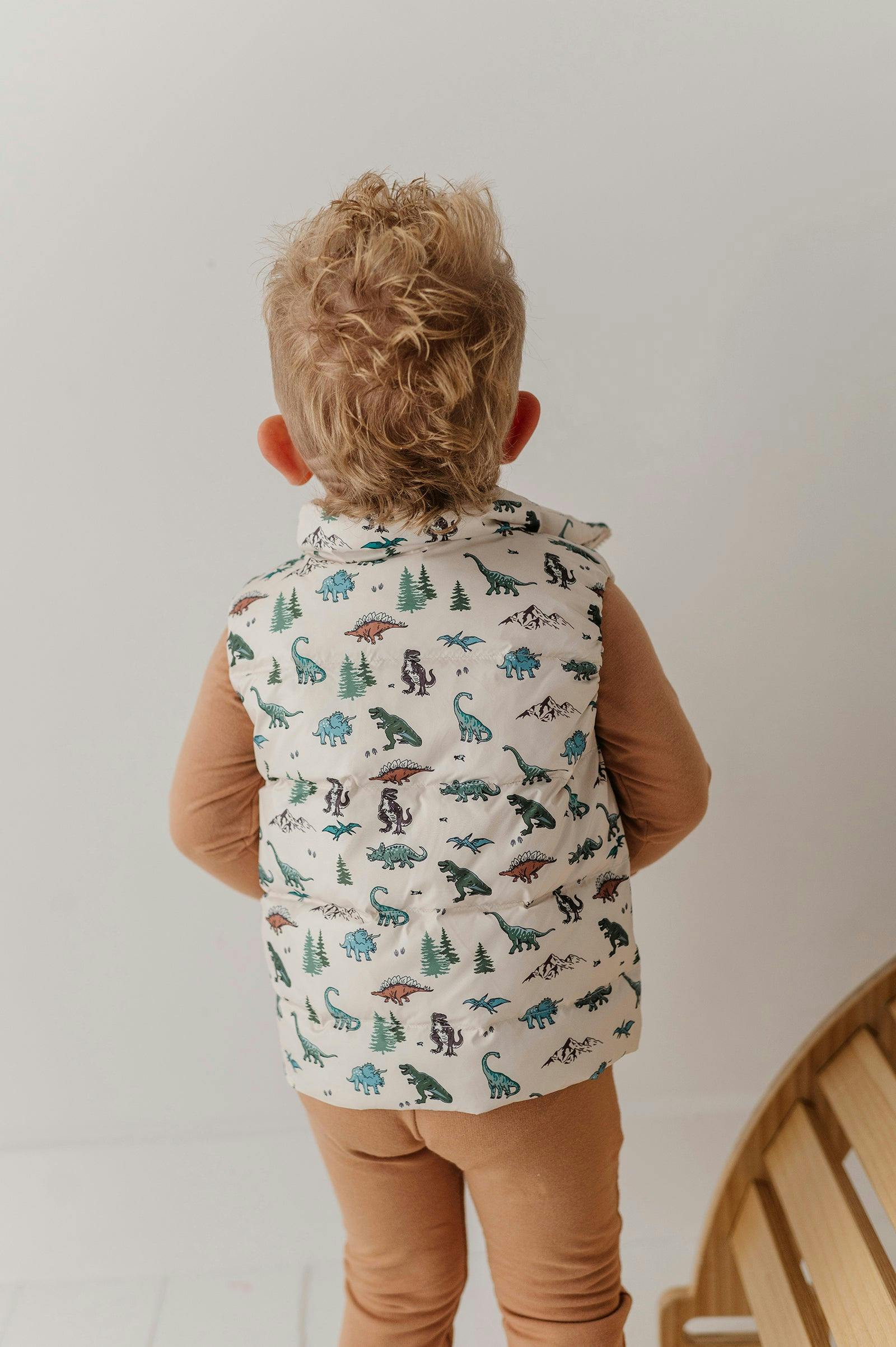 Kids Puffer Vest in Dino Land