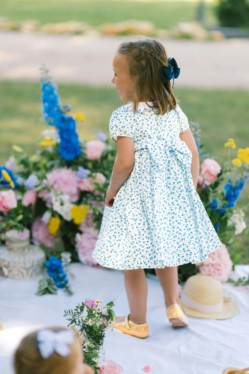 Isadora Blue Floral Empire Dress