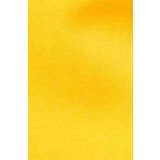 Cub Sun Cap