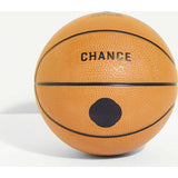 Teddy Mini Basketball (17")