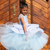 A Leading Role Premium Princess Cindy Dress Up