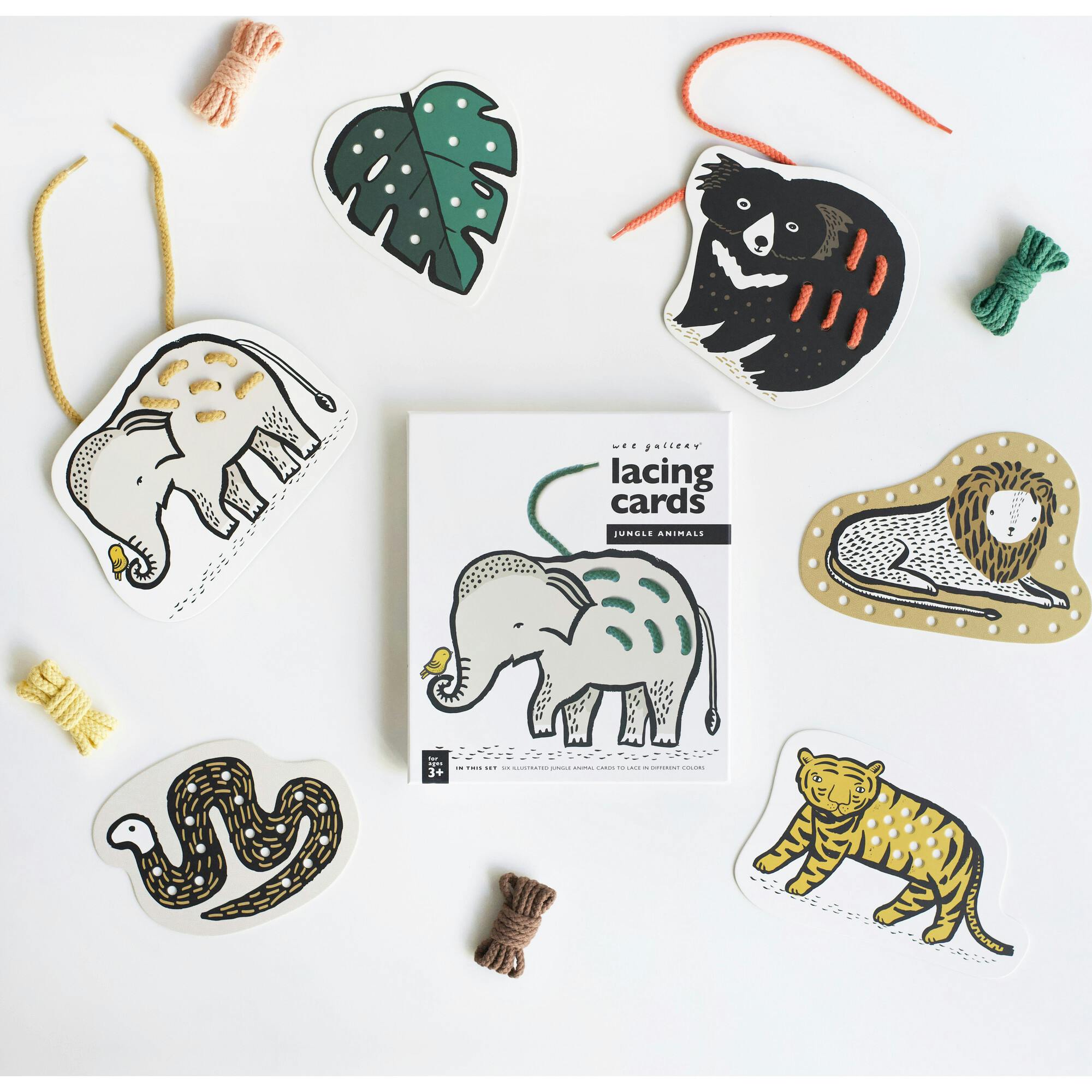 Fine Motor Practice Bundle