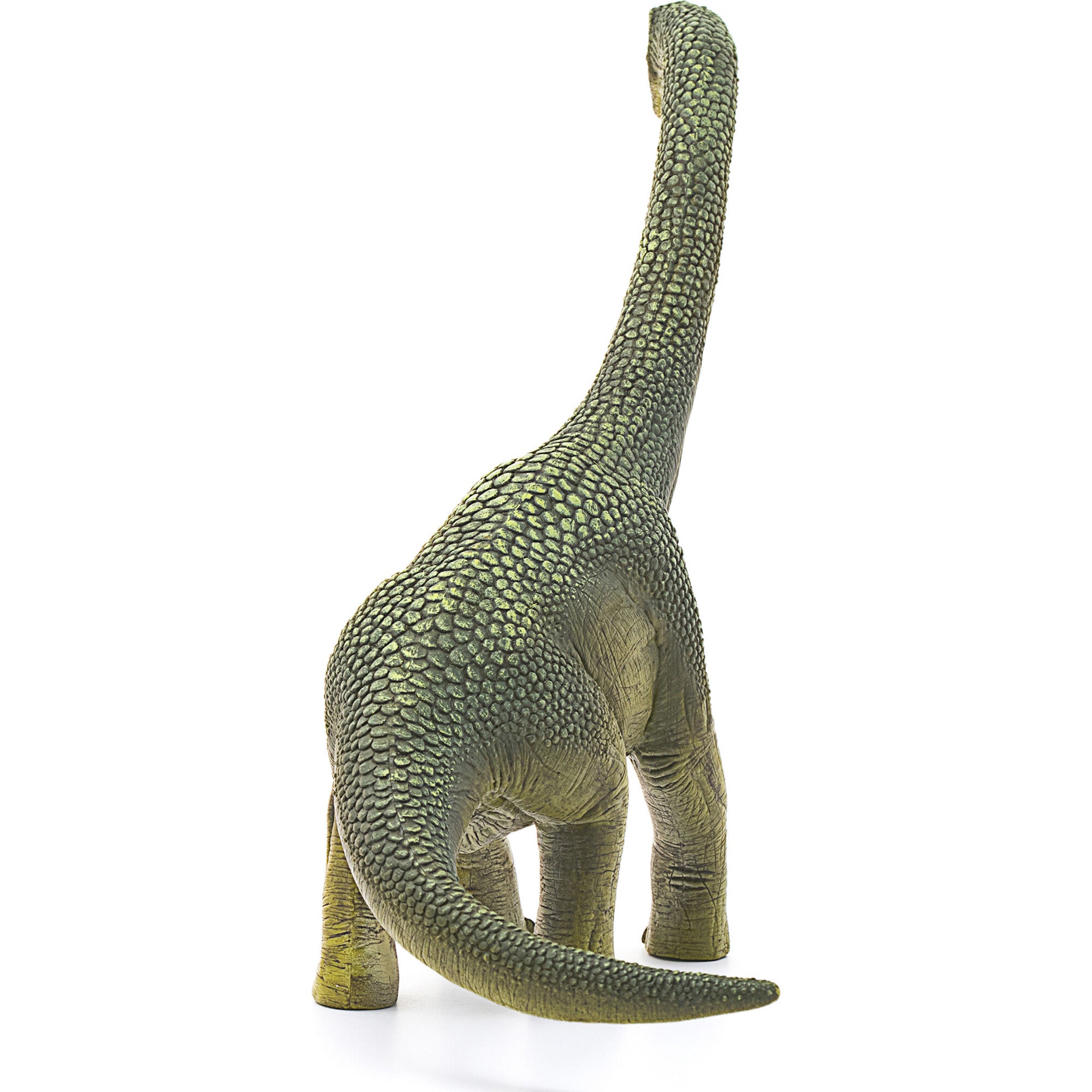 Schleich Brachiosaurus 9.6