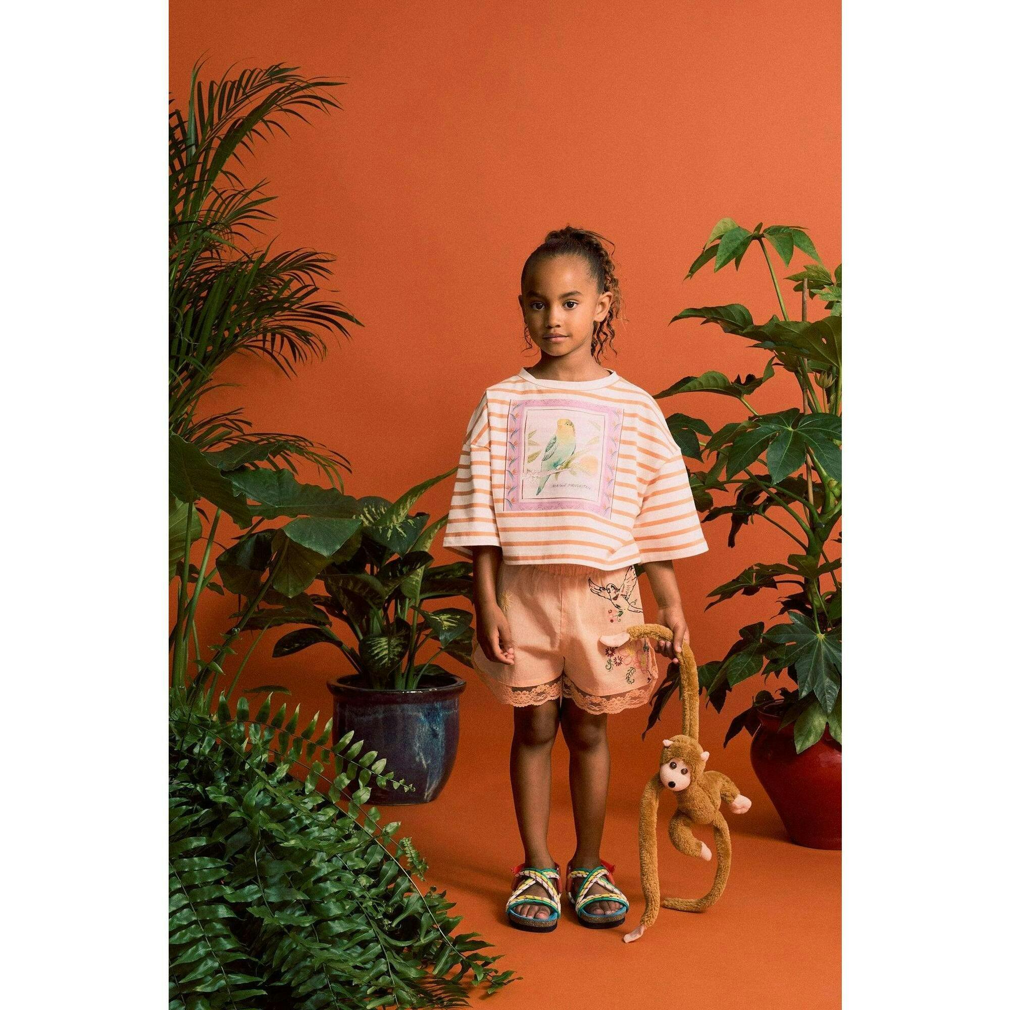 BIRDS STRIPED CROP TOP MANDARIN /WHITE