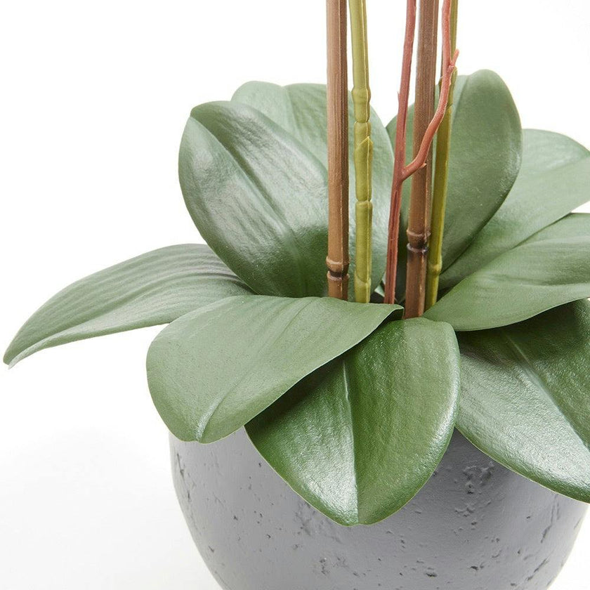 Artificial White Double Stem Orchid