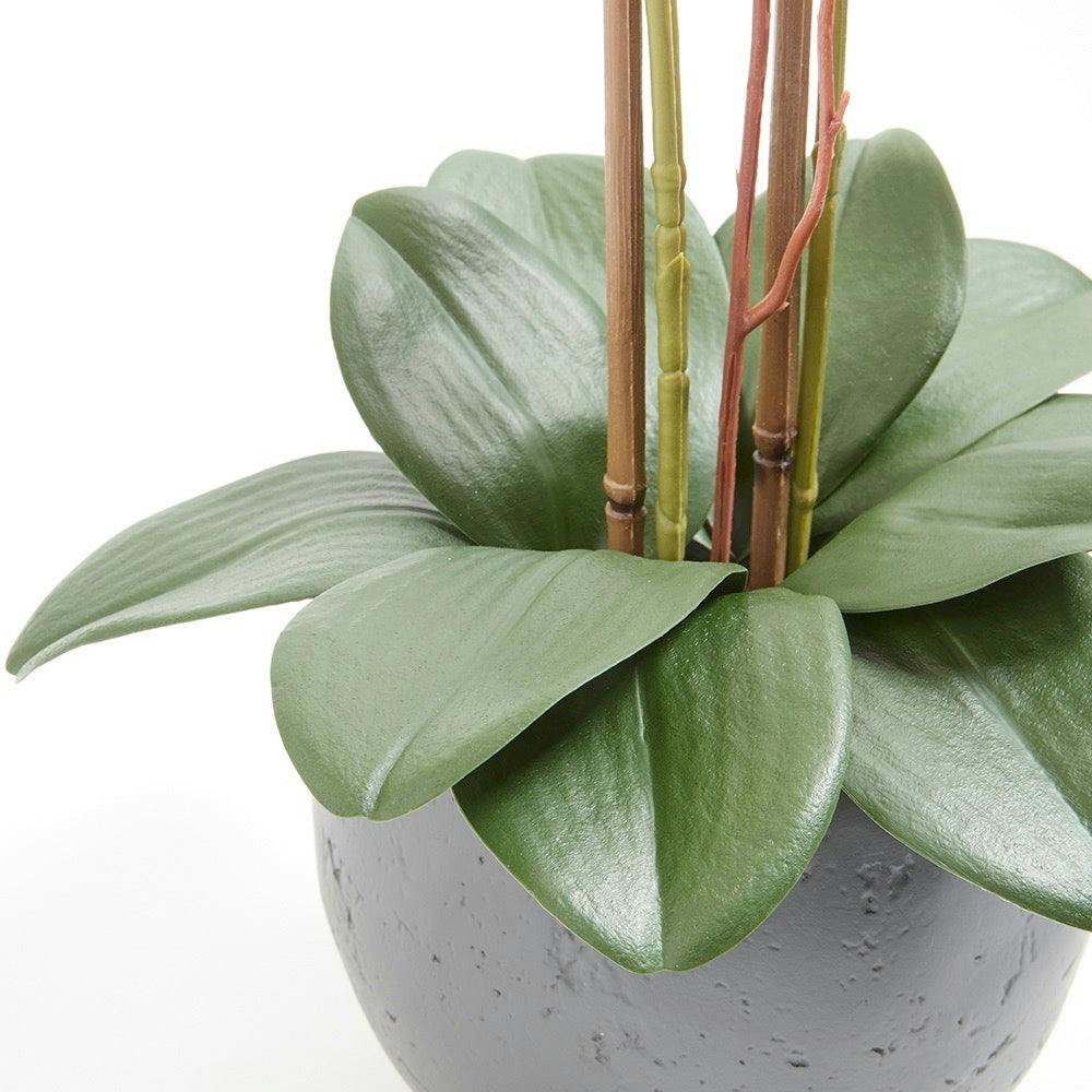 Artificial White Double Stem Orchid