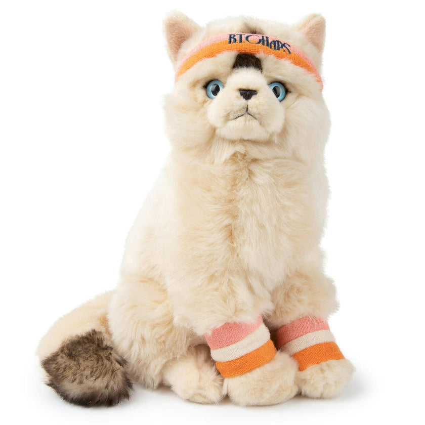 Plush BT CHAPS Dolly the Ragdoll ECO 7"