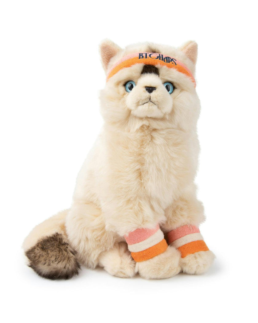 Plush BT CHAPS Dolly the Ragdoll ECO 7"