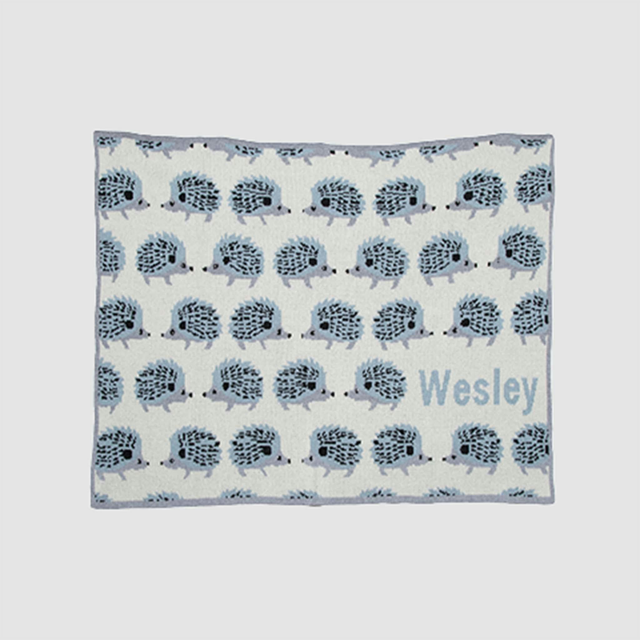 Monogrammed Baby Hedgehog Blanket