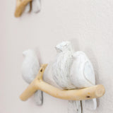Perch Wall Decor - 2-pc.