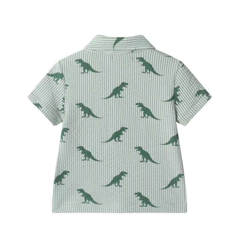 Infant Boys Short Sleeve Cabana Set | Green Stripe Dino