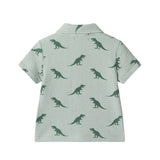 Infant Boys Short Sleeve Cabana Set | Green Stripe Dino