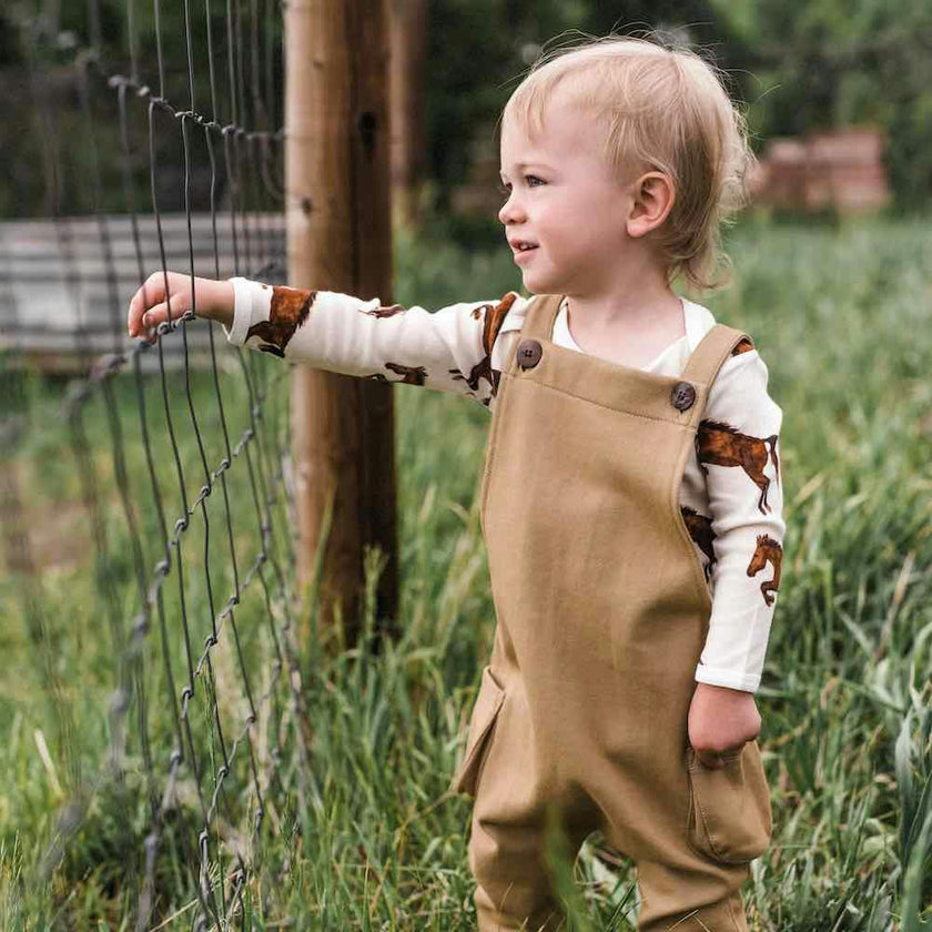 Rust Pinstripe Classic Overall