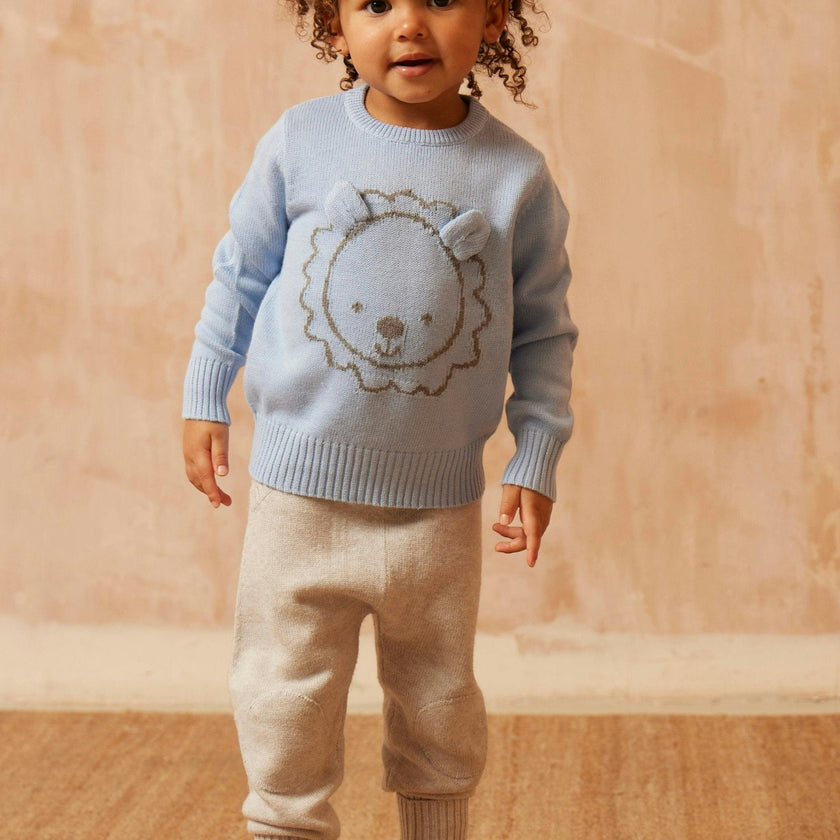 Baby Lion Jumper | Sky