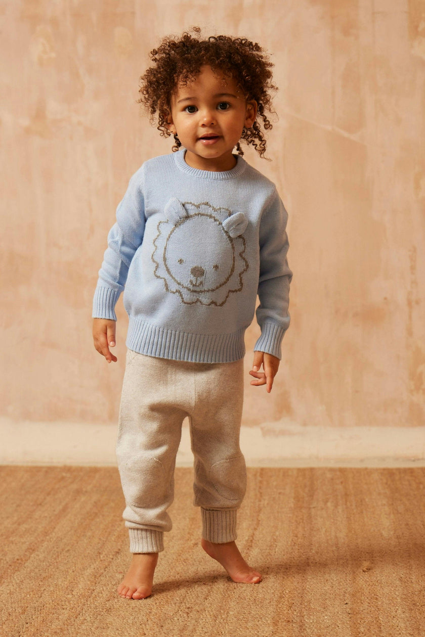 Baby Lion Jumper | Sky