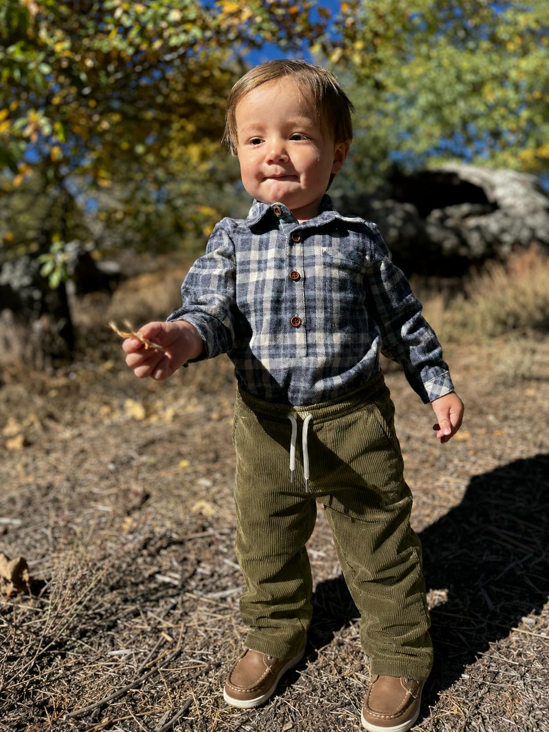 ARLO cord olive joggers