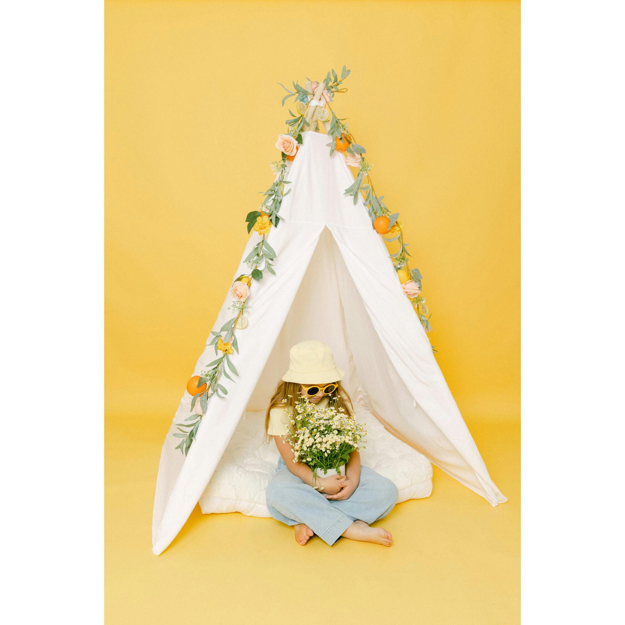 Taylor Play Tent