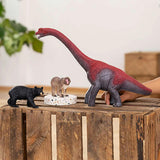 Schleich Dinosaurs: Brachiosaurus - Action Figure