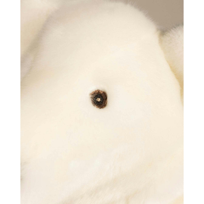 Paul-Emile the Polar Bear