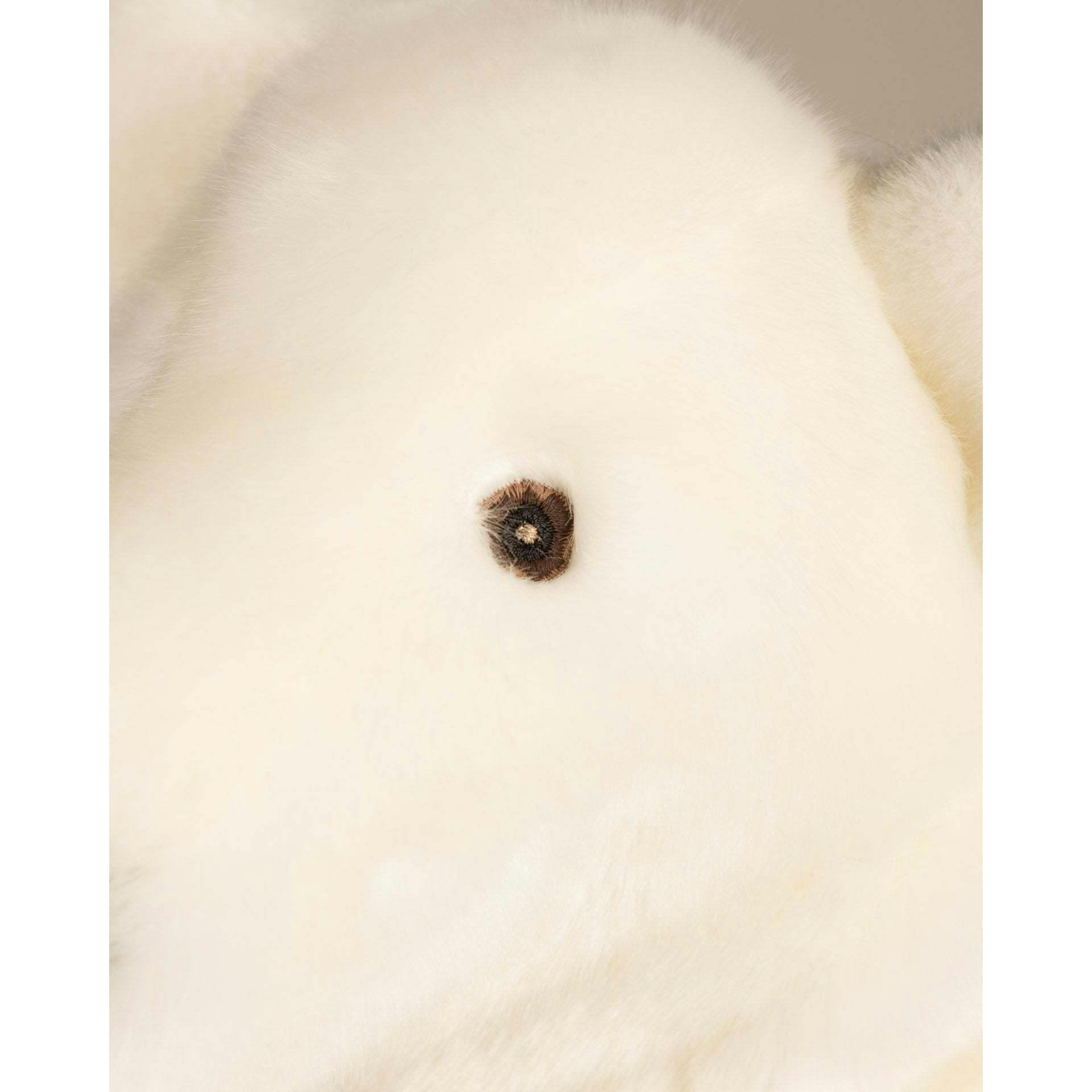 Paul-Emile the Polar Bear