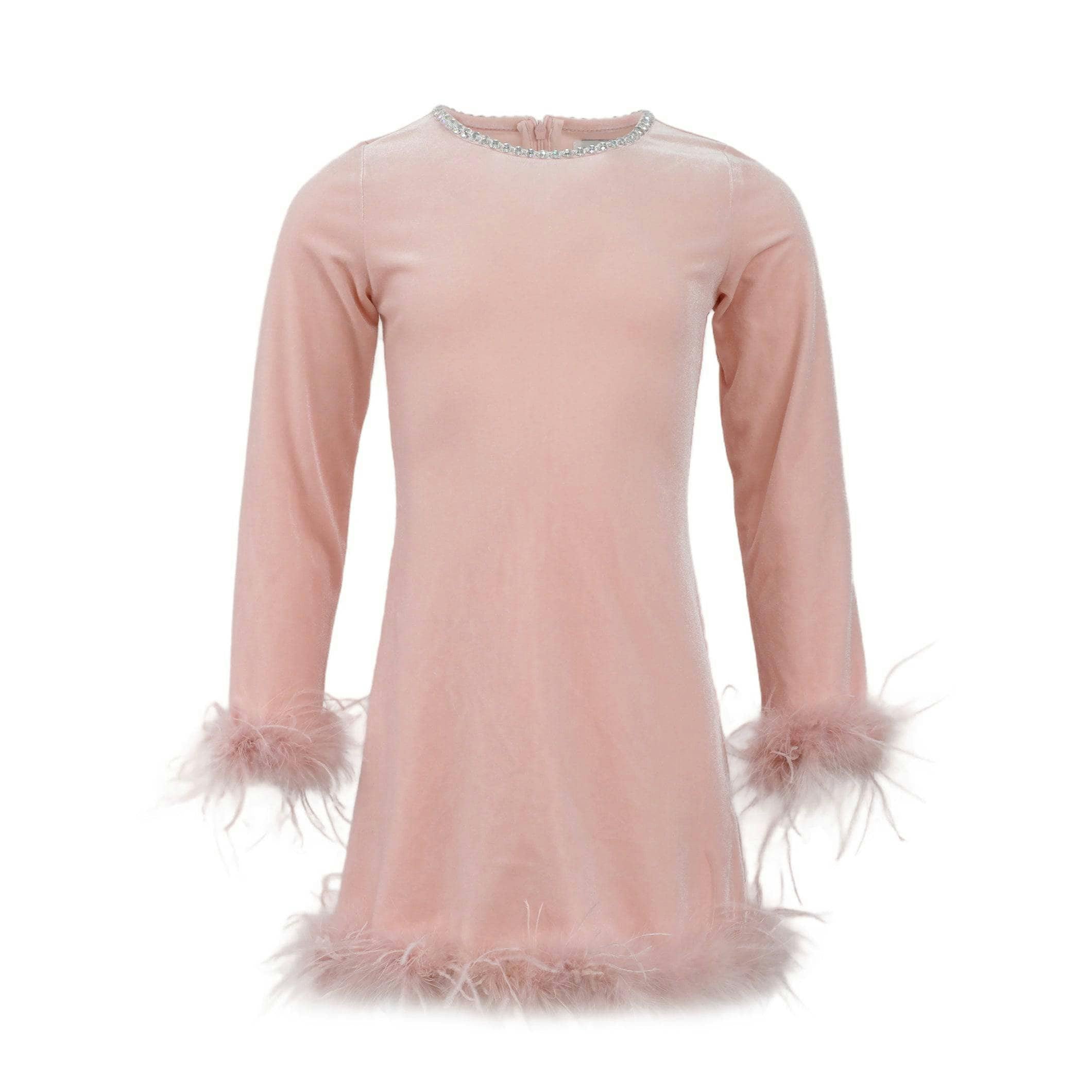 Princess Velvet Feather Dress