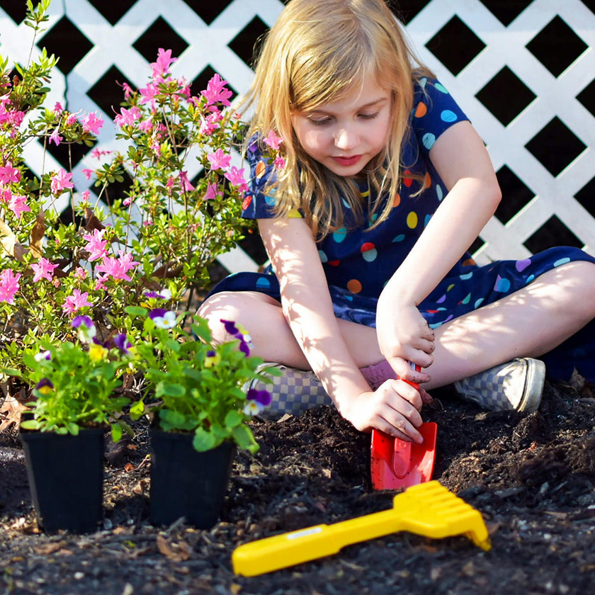Let's Grow Gardening Bundle