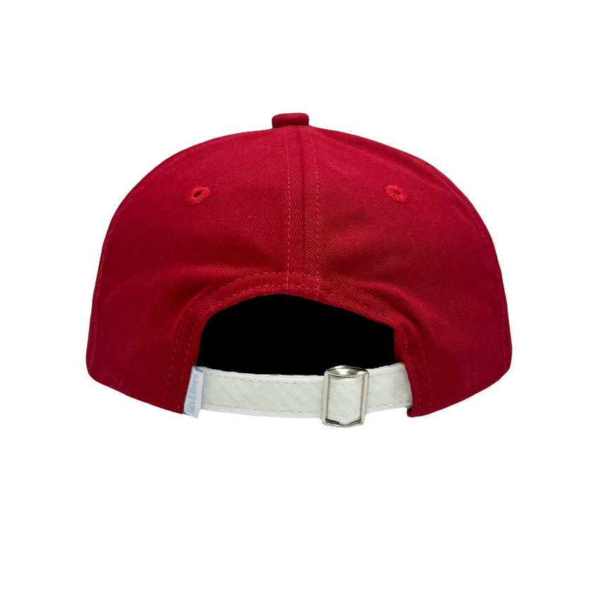 Officially Licensed Arkansas Razorbacks Baseball Hat (Youth)