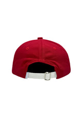 Officially Licensed Arkansas Razorbacks Baseball Hat (Youth)