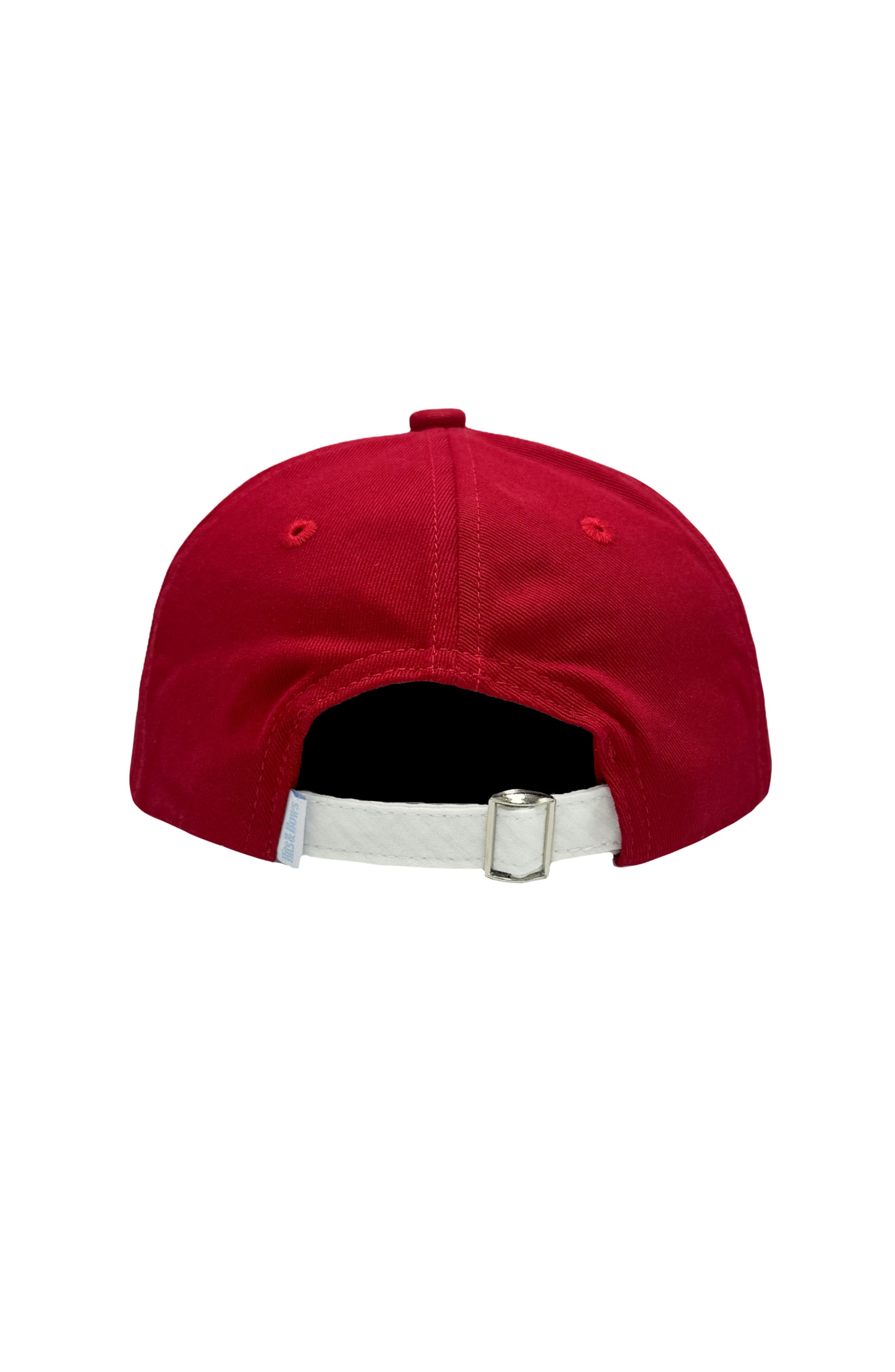 Officially Licensed Arkansas Razorbacks Baseball Hat (Youth)