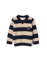 Striped Knit Vneck Sweater Forest/Charcoal