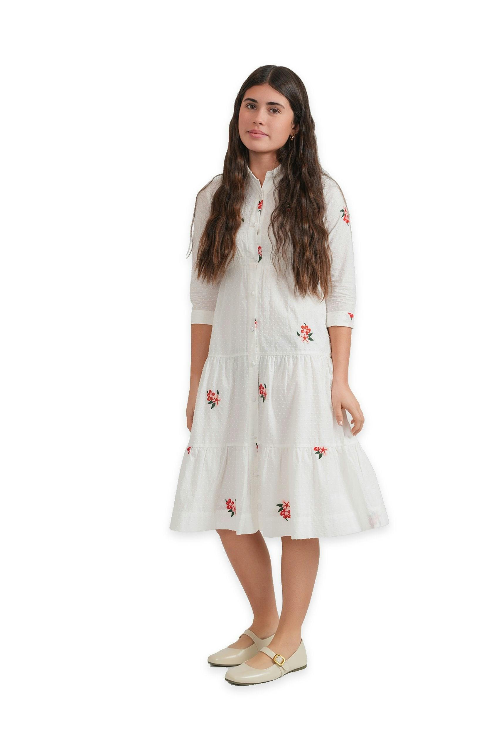 Dobi Embroidered Dress