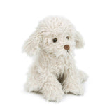 Muffin The Shaggy Puppy