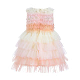 Pink Ruffle Layered Tulle Dress