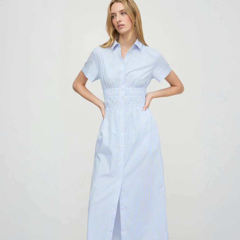 The Jamie Nap Dress - Blue/White Stripe