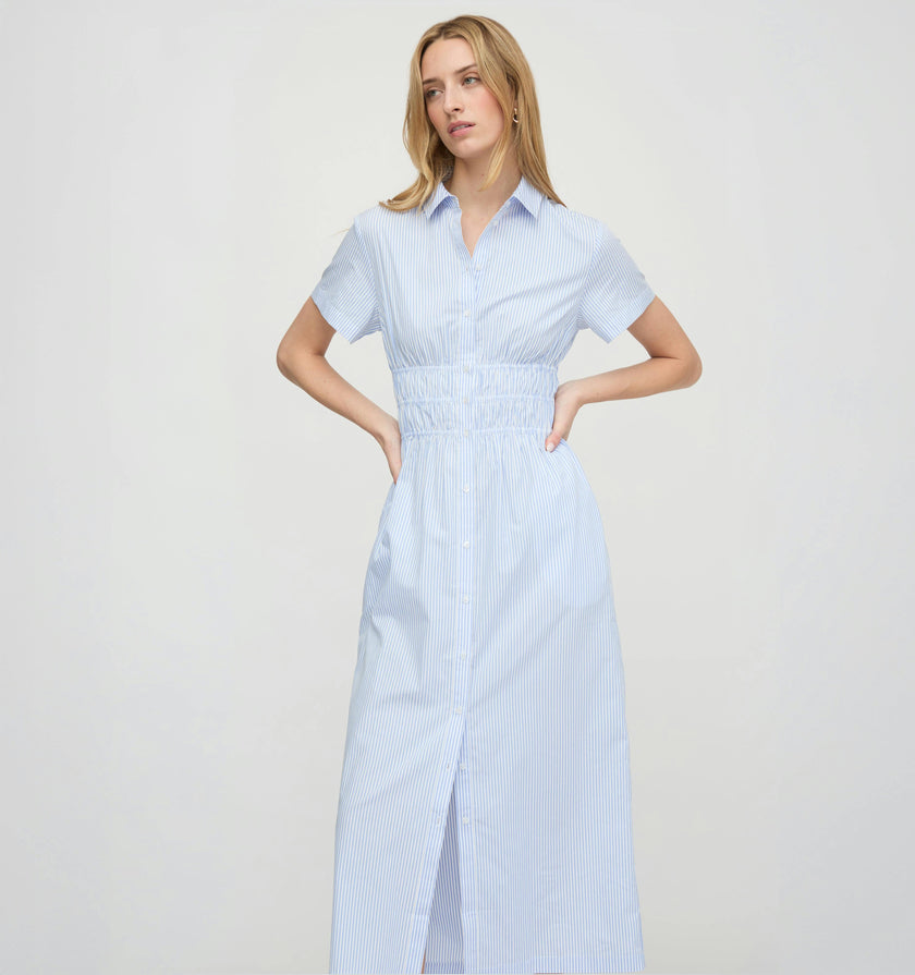 The Jamie Nap Dress - Blue/White Stripe