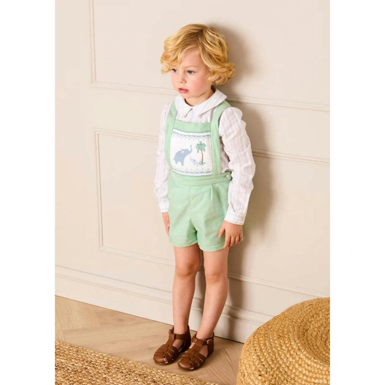 Elephant Embroidered Smocked Dungarees in Sage Green (18mths-4yrs)