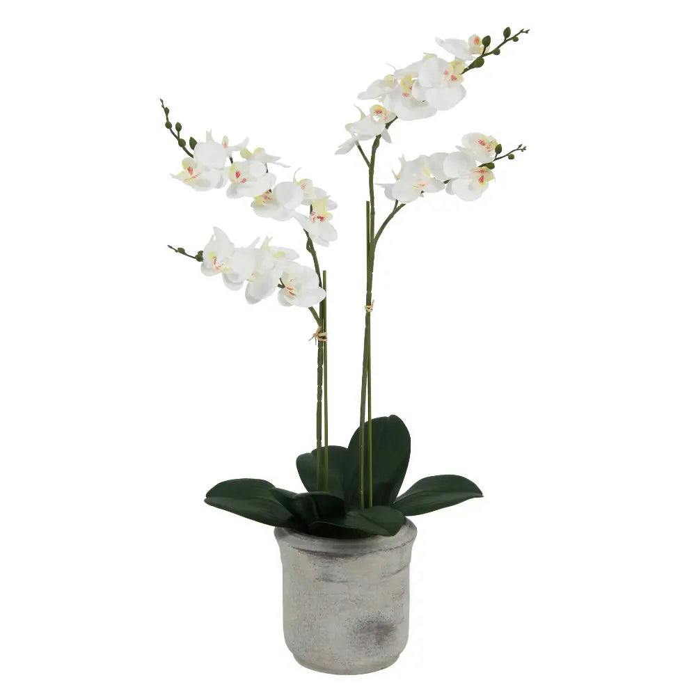 Artificial 2-Stem Phalaenopsis White Orchid