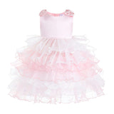 Light Pink Sirin Ruffled Tulle Dress