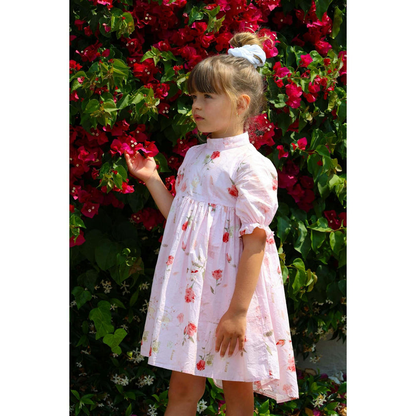 The Madeleine Dress | Blush Rose