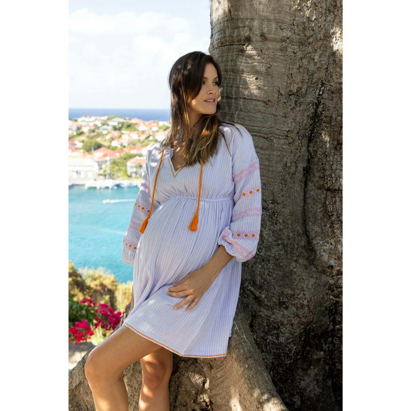 Women's Elodie Popover Stripe Embroidery Dress, Stripes