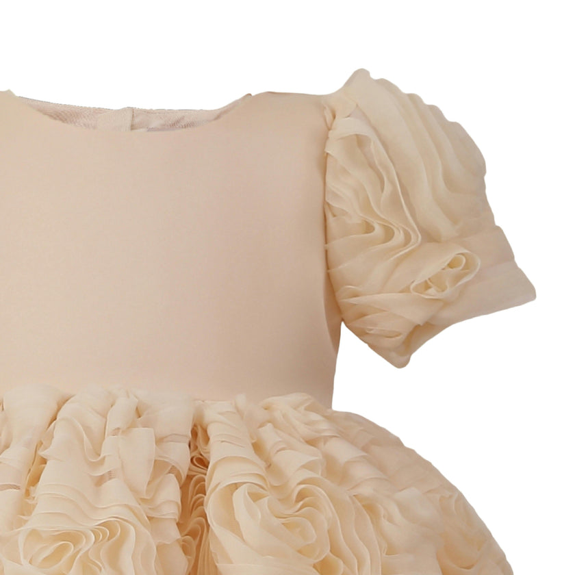 Champagne Bow Rosette Dress