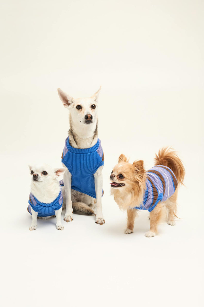dog sweater - kopenhagen stripes