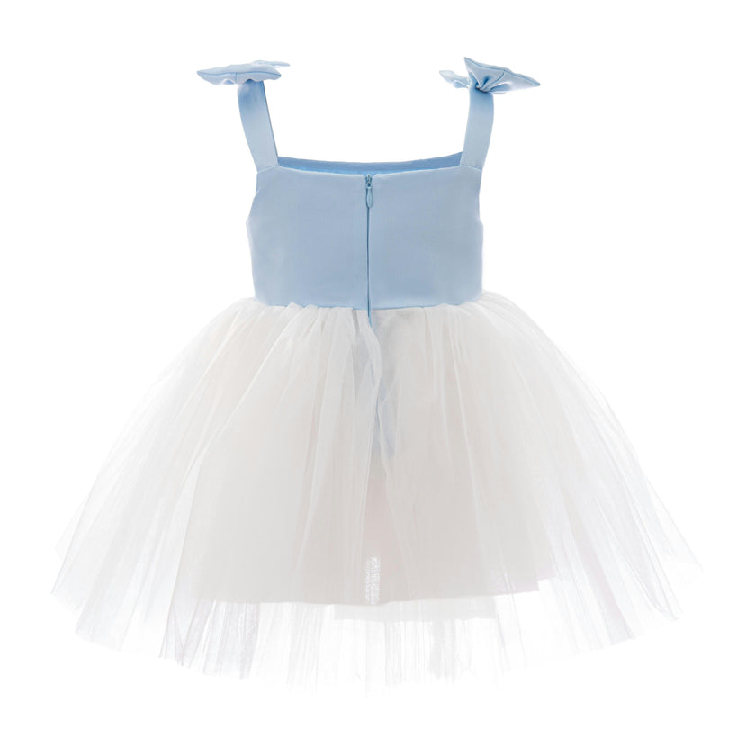 Light Blue Bodice Dress with White Tulle Skirt