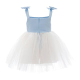 Light Blue Bodice Dress with White Tulle Skirt