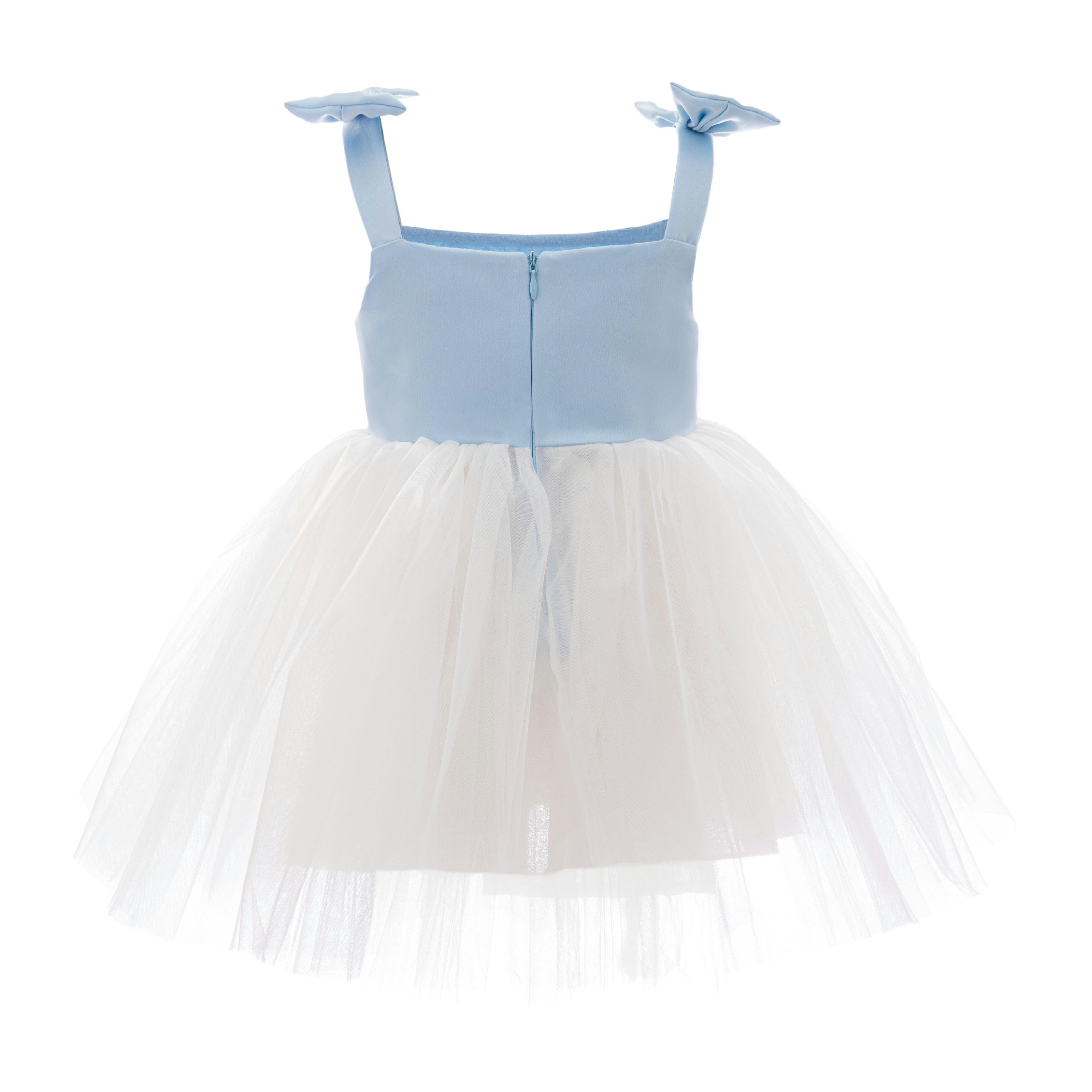 Light Blue Bodice Dress with White Tulle Skirt