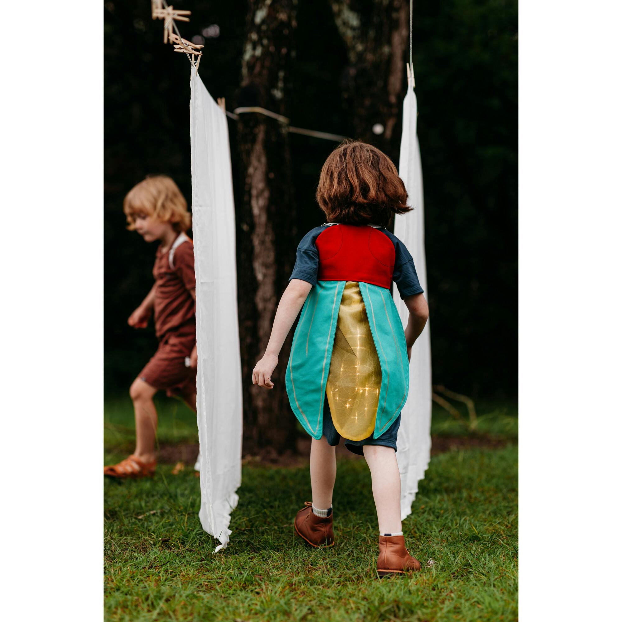 Firefly Costume Wings